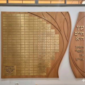 לוח תורמים והנצחות בעיצוב מיוחד, עין צורים